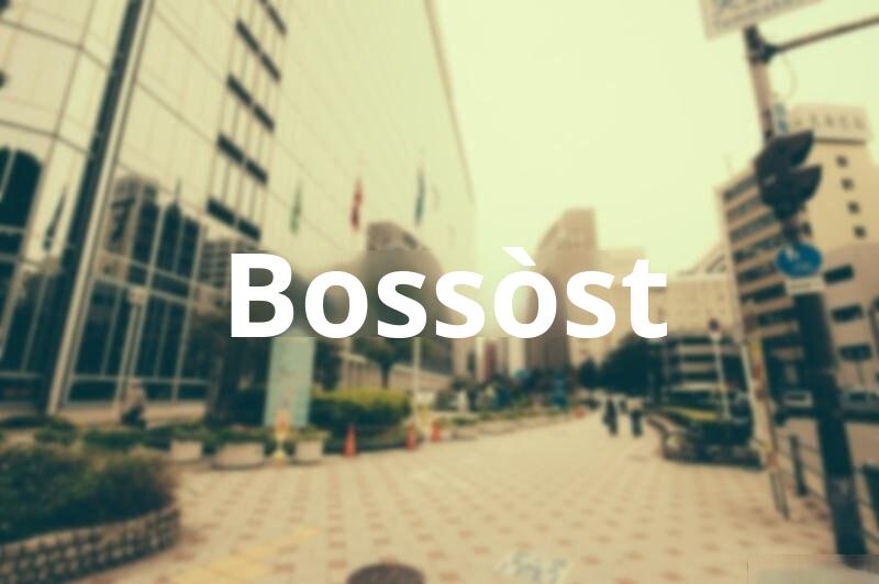 Tasacion de Vivienda en Bossòst (Lérida)